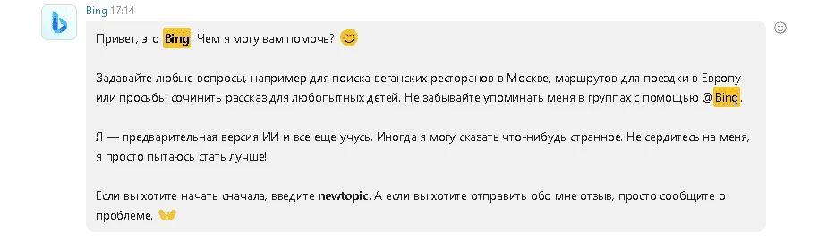 bing_otvechaet_v_skype