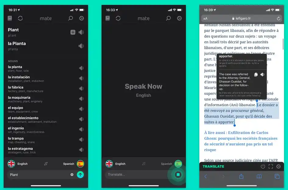 Mate переводчик